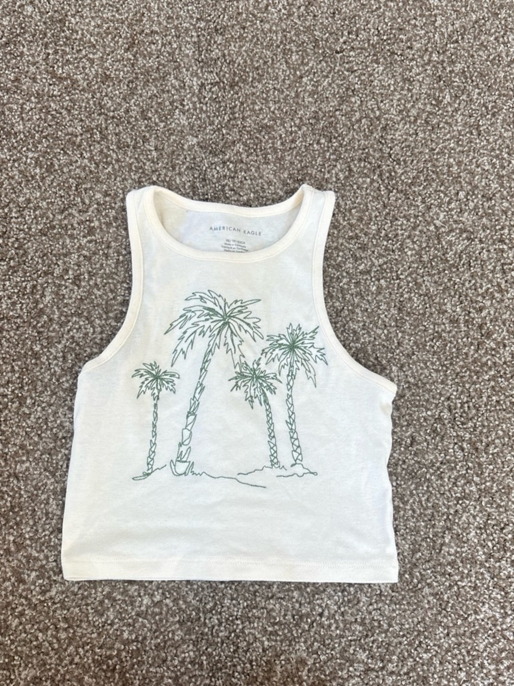 American Eagle Outfitters Cream Tank Top with Green Palm Print
